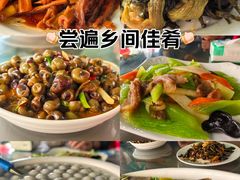 -晓琦农家菜馆·地道农家菜
