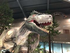 -湖南省地质博物馆