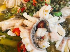 -三猫黑鱼花(南大店)