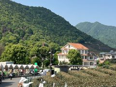 -龙坞茶村