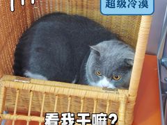 -创凡宠物医院·骨专科  猫科中心(西乡分院)