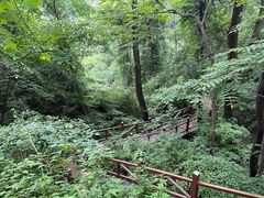 -大岭沟猕猴桃谷风景区