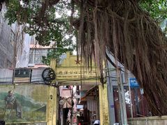 -小洲村