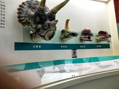 -安徽省地质博物馆