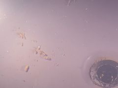 -春晖园度假酒店温泉