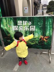 -恐龙探索乐园(磁器口店)