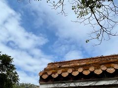 -深圳仙湖植物园