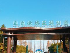 -黄海国家森林公园