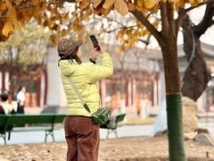 -护国法轮寺