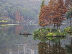 -重庆彩云湖湿地公园