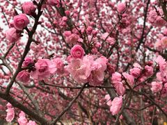 -鹫峰国家森林公园