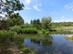 -贵阳市花溪国家城市湿地公园