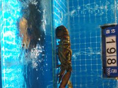 -聚宝渔港.五钻酒家(上地店)