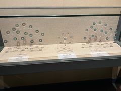 -巴音郭楞蒙古自治州博物馆