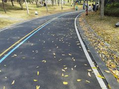 -牛岗山公园