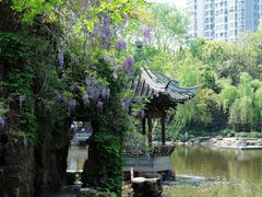 -水绘园