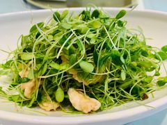 桃仁香椿苗-万龙洲海鲜(大兴绿地缤纷城店)