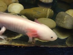 -上海大自然野生昆虫馆