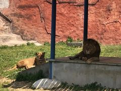 -无锡动物园·太湖欢乐园