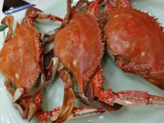 清蒸当地海蟹-北戴河庆山饭店·海鲜砂锅粥(北戴河黑石路店)