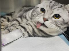-达爱动物医院·犬猫分区·CT·复杂眼科(远洋山水分院)