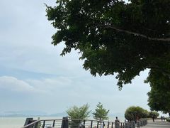 -深圳湾公园(南山区)