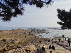 -青岛第二海水浴场