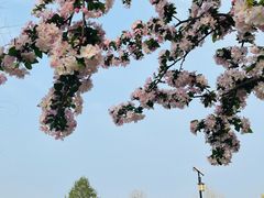 -中华石雕艺术园