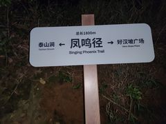 -梧桐山风景名胜区