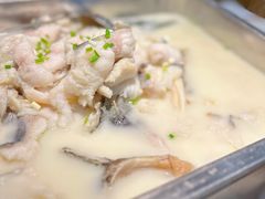 洞閮菌鲜鮰鱼-洞庭家宴·头牌甲鱼(广渠门店)