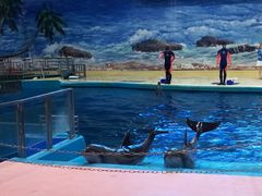 -福州罗源湾海洋世界旅游区