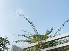 -沙河三洞古桥公园