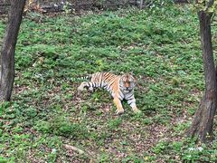 -哈尔滨北方森林动物园