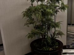 -浅深(世茂滨江精品店)
