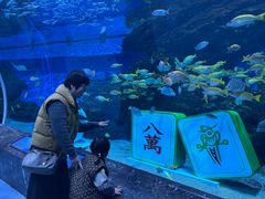 -海合安成都极地海洋公园
