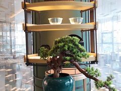 -扬州万怡酒店-中餐厅(文昌中路店)