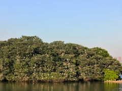 -海珠湖公园
