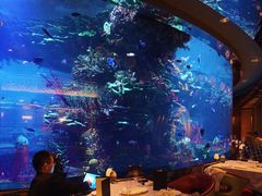 -迪拜帆船酒店海底餐厅
