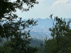 -大奇山国家森林公园