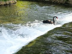 -水磨沟公园