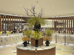 -亚特兰蒂斯-番红花海鲜自助餐厅·鲜活海鲜·小火锅