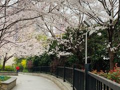 -上海体育馆(地铁站)