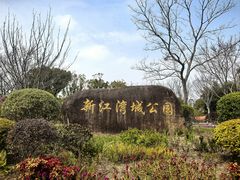 -新江湾城公园