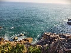 -广东惠东海龟国家级自然保护区