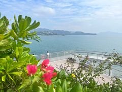 -大梅沙海滨公园