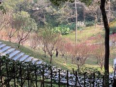 -广州市白云山风景名胜区