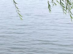 -丁香湖公园