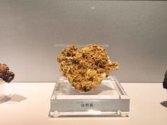 -中国地质博物馆