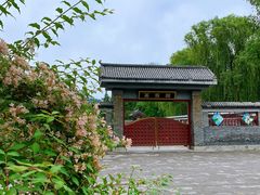 -莲花池公园