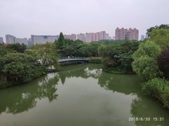 -青枫公园